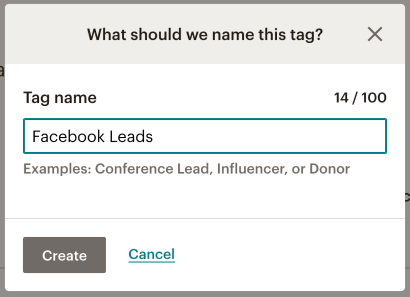 Create Facebook Lead Tag