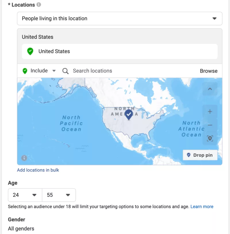 Target audience settings - location, age, gender, detailed targeting