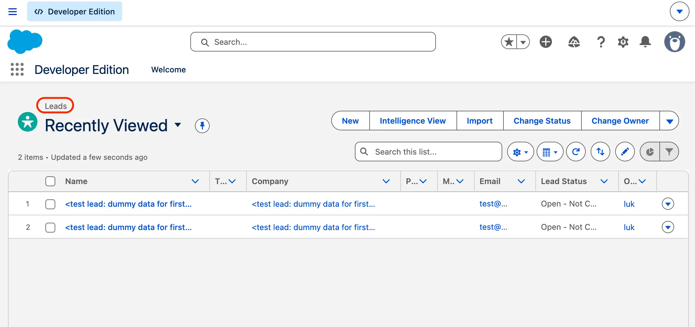 The test leads appearing in the Salesforce Leads list view