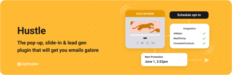 wordpress-lead-generation-hustle | LeadSync: Facebook & Instagram Lead Ads Tips Hustle WordPress Plugin